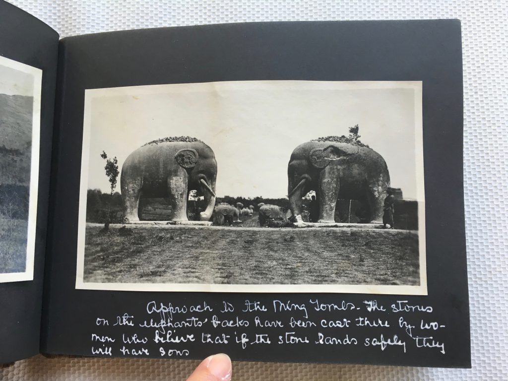 Elephants at Ming Tombs